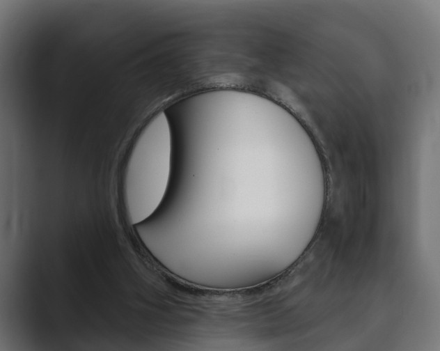 X0000089880106200706281058