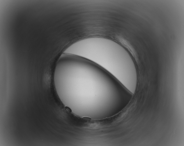 X0000089880113200706281058