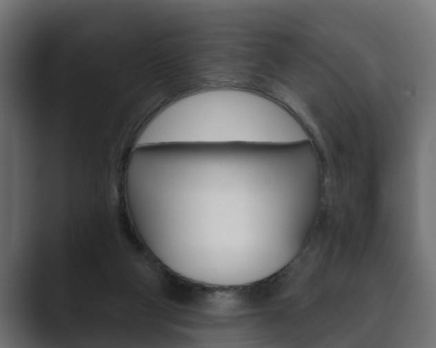 X0000089880114200706281058