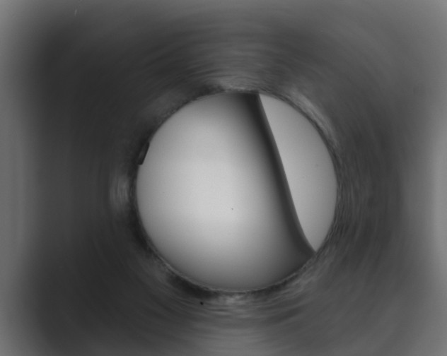 X0000089880117200706281058