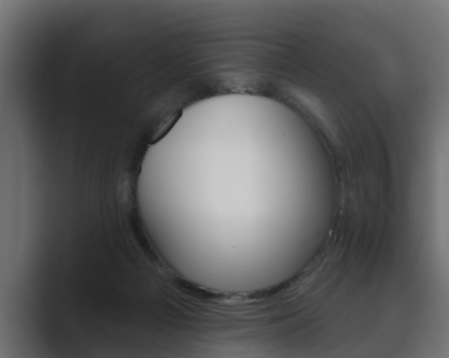 X0000089880121200706281058