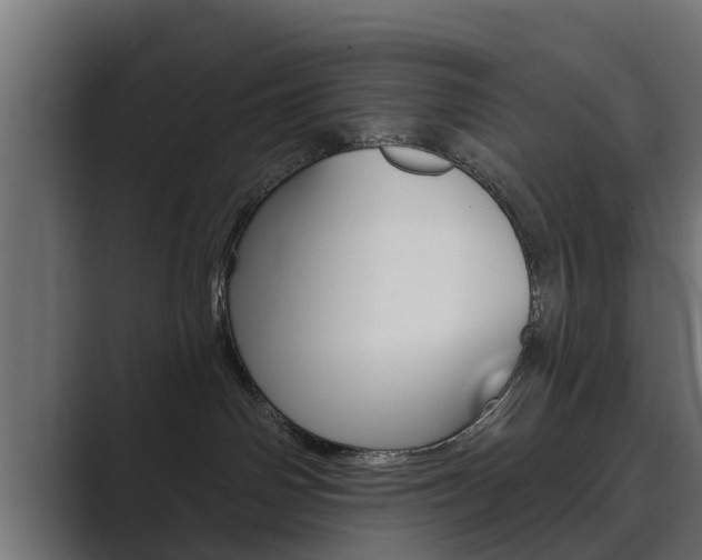 X0000089880142200706281058