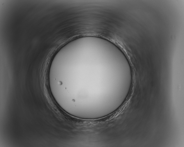 X0000089880145200706281057