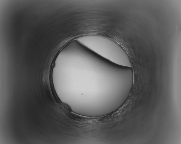X0000089880147200706281057