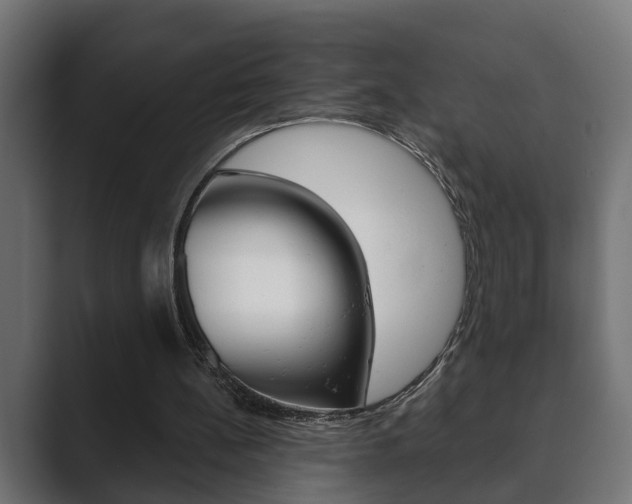 X0000089880148200706281057