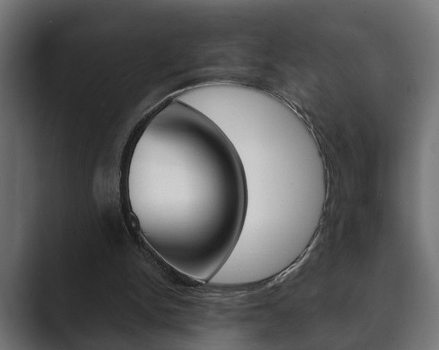 X0000089880150200706281057
