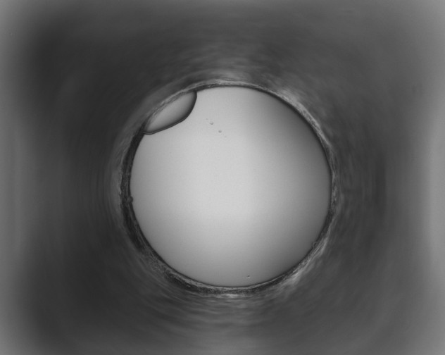 X0000089880151200706281057