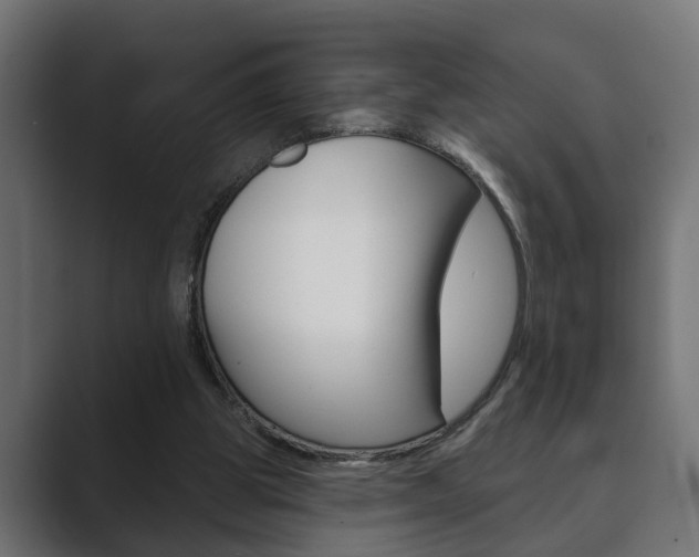X0000089880153200706281057