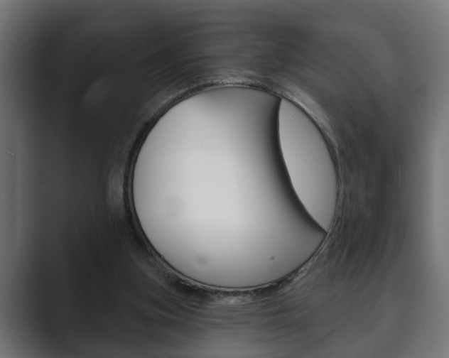 X0000089880155200706281057