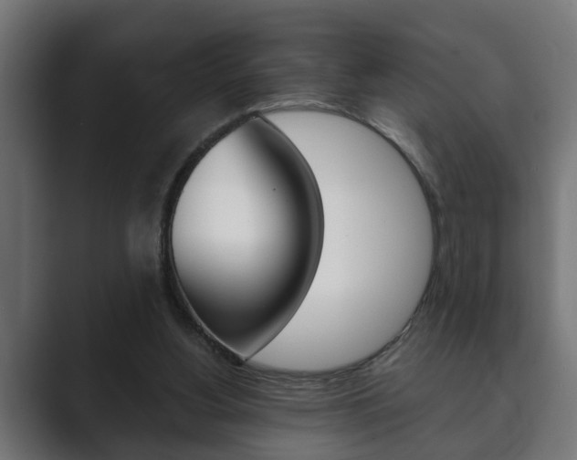 X0000089880156200706281057