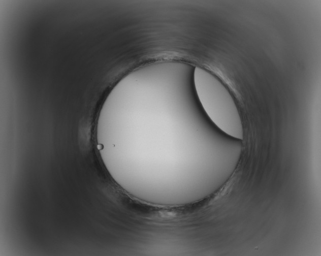 X0000089880159200706281057