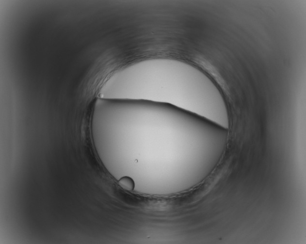 X0000089880161200706281057
