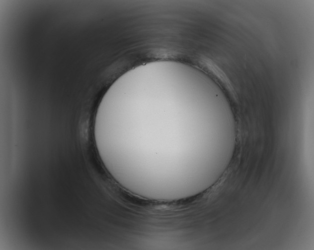X0000089880163200706281057