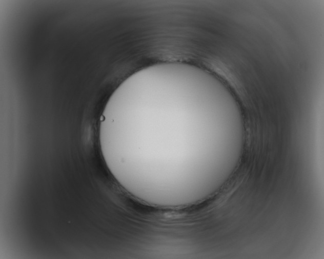 X0000089880165200706281057