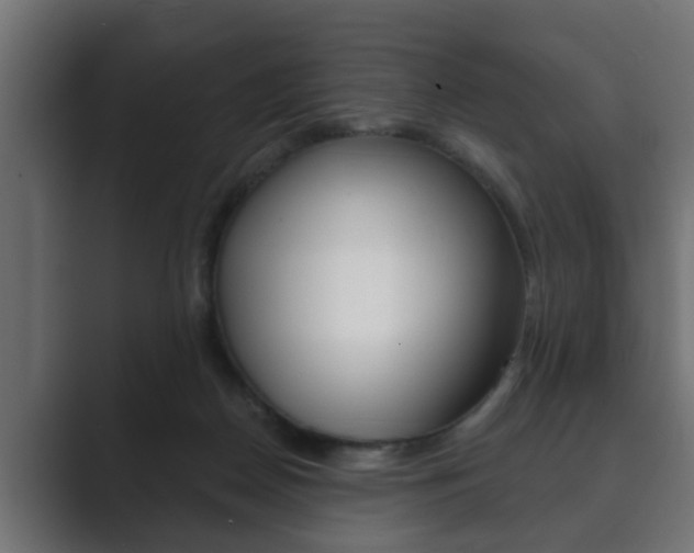 X0000089880170200706281057
