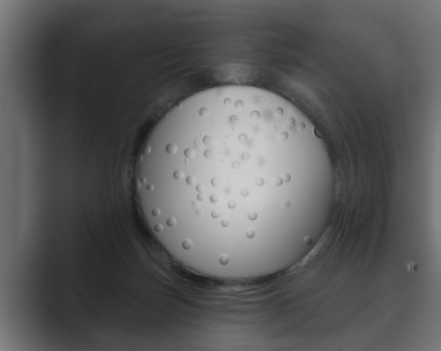X0000089880171200706281058