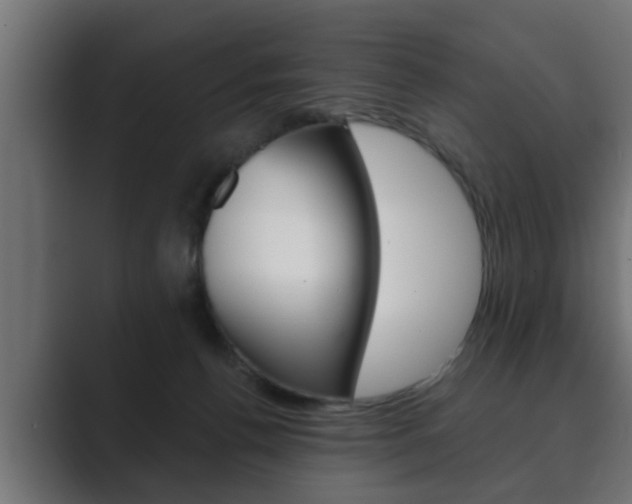 X0000089880176200706281058