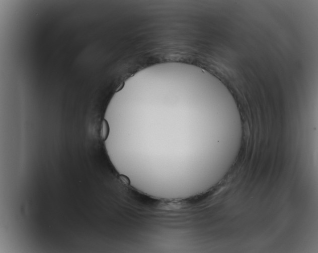 X0000089880181200706281058