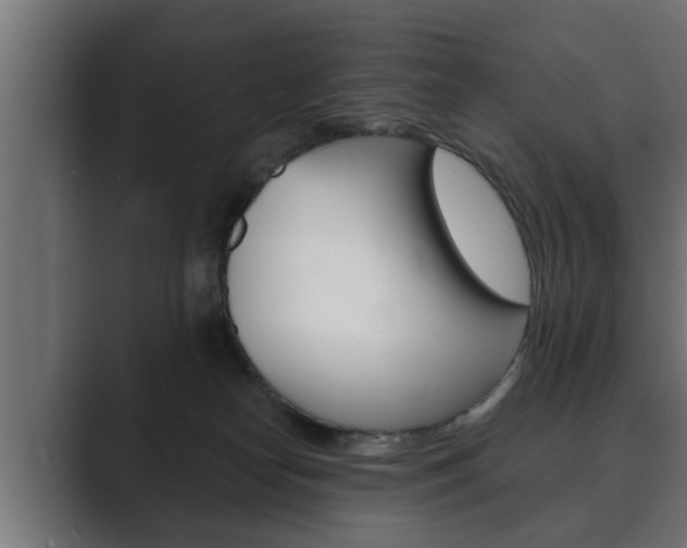 X0000089880182200706281058