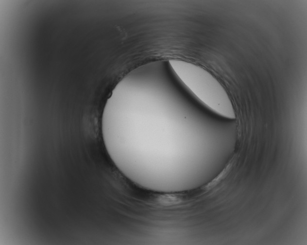 X0000089880183200706281058