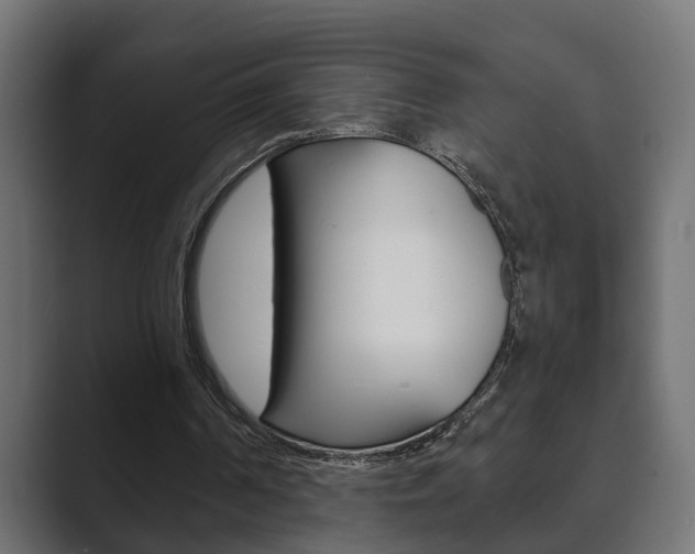 X0000089880194200706281057