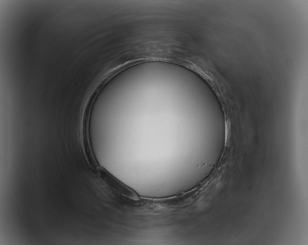 X0000089880195200706281057