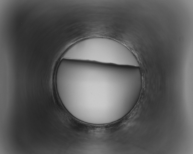 X0000089880196200706281057