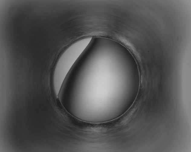 X0000089880201200706281057