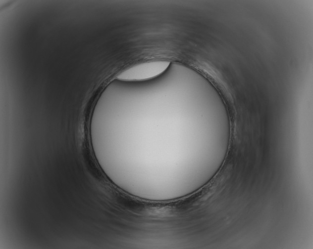 X0000089880202200706281057