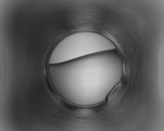 X0000089880205200706281057