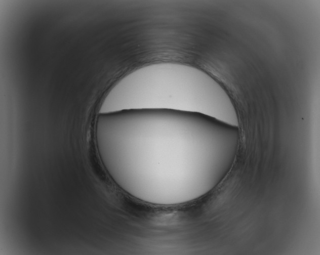 X0000089880206200706281057