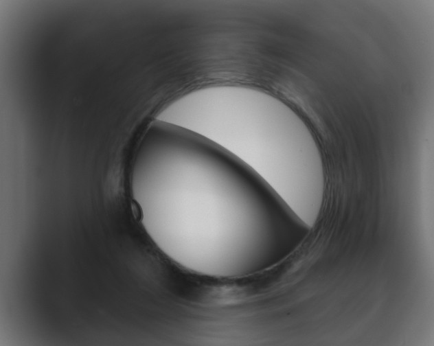 X0000089880212200706281057