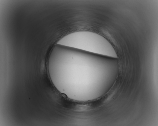 X0000089880213200706281057