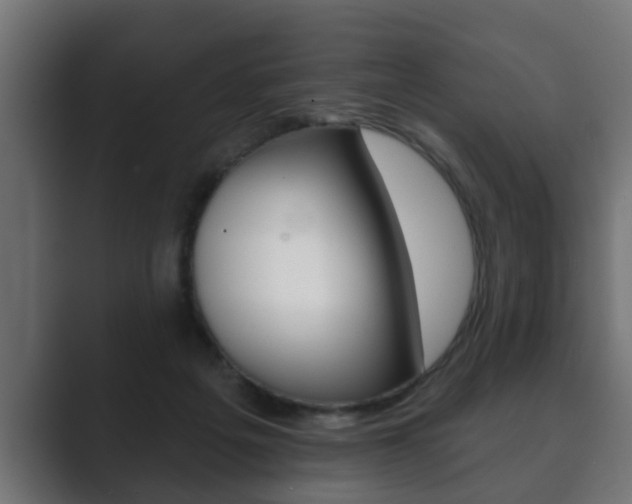 X0000089880217200706281057