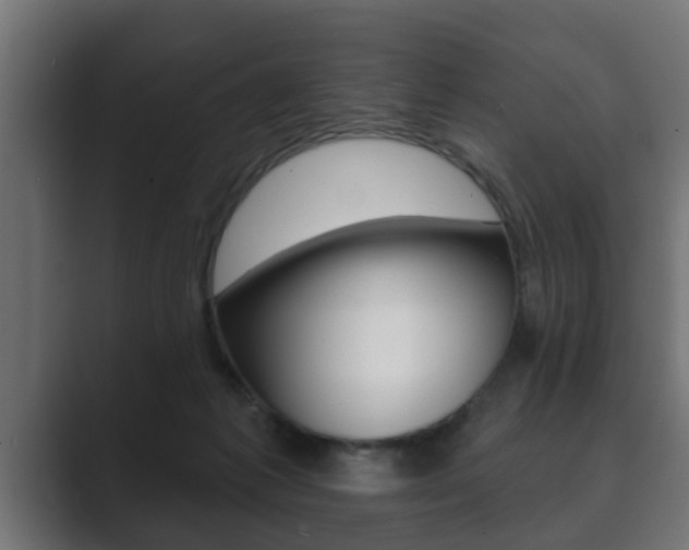 X0000089880221200706281057