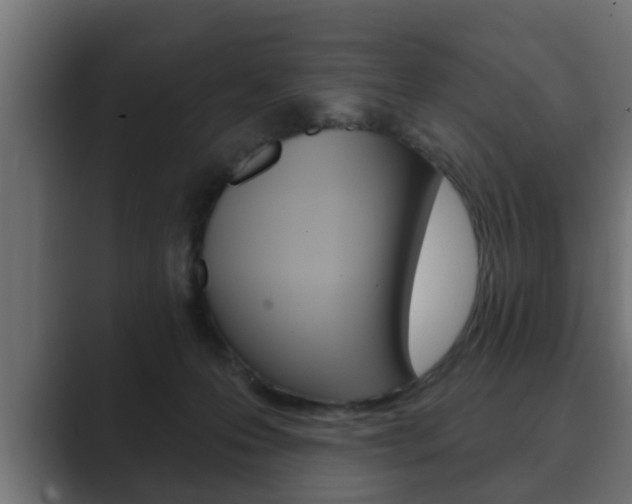 X0000089880223200706281057