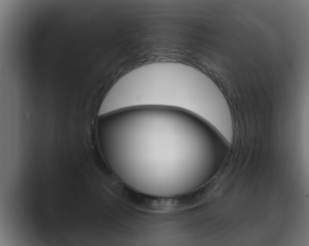 X0000089880225200706281057