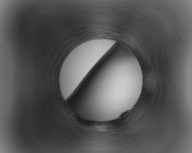 X0000089880228200706281057