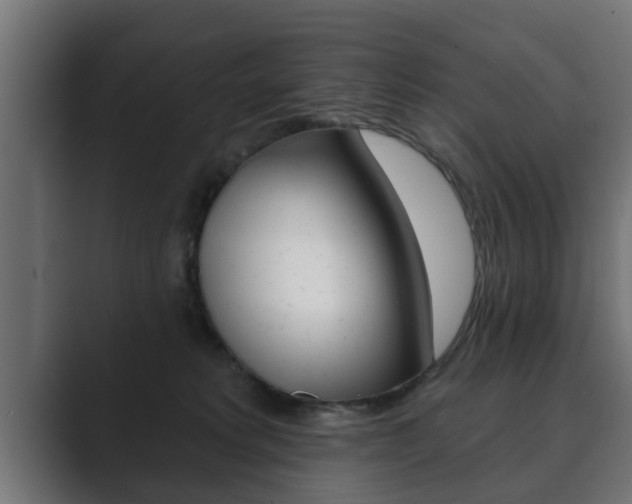 X0000089880229200706281057