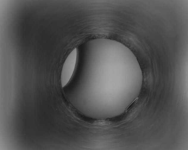 X0000089880231200706281057