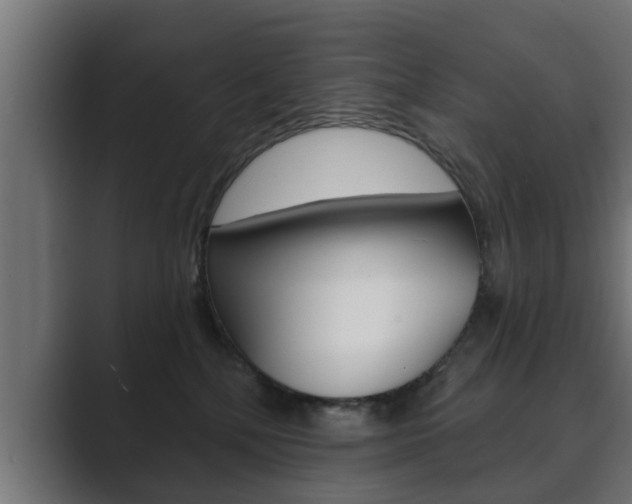 X0000089880232200706281057