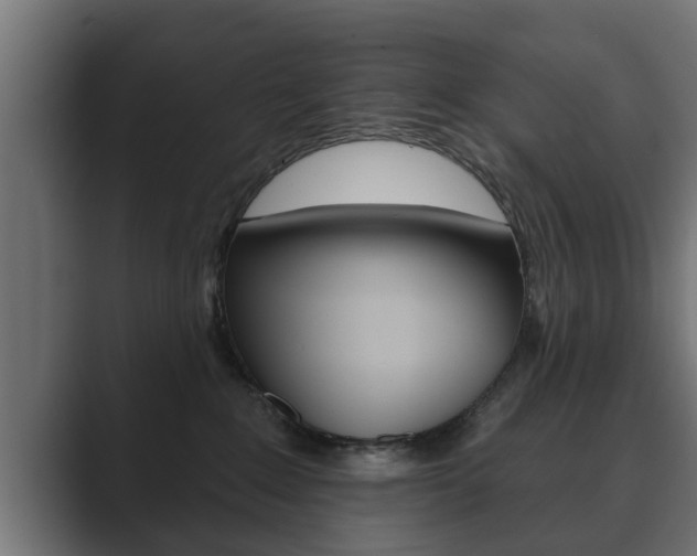 X0000089880235200706281057