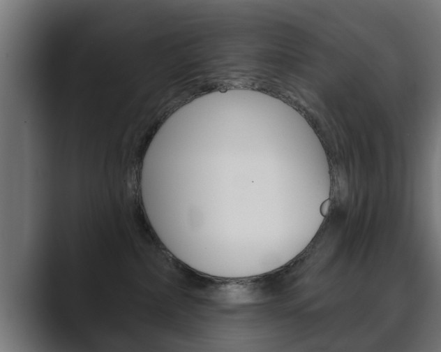 X0000089880236200706281057