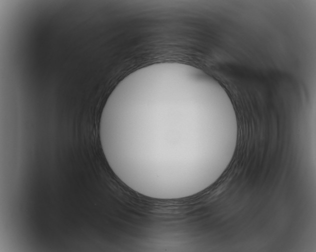 X0000089880237200706281057