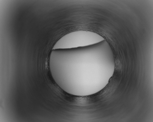 X0000089880238200706281057