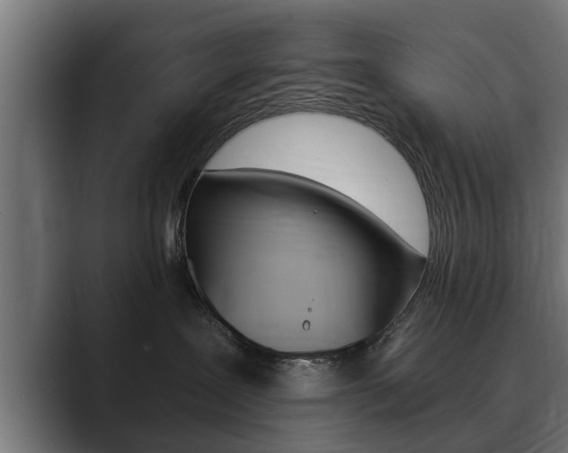 X0000089880239200706281057