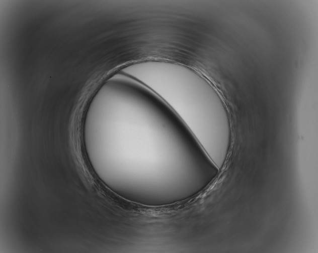 X0000089880241200706281056