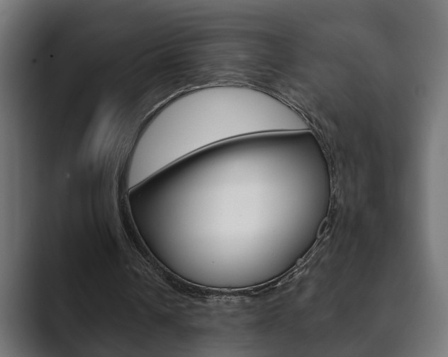 X0000089880242200706281056