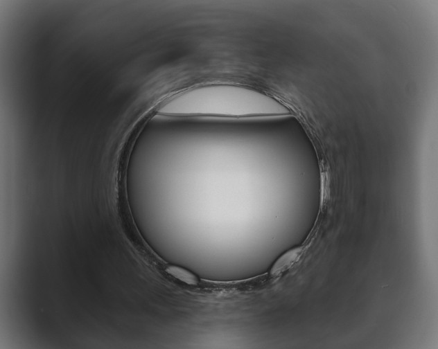 X0000089880243200706281056