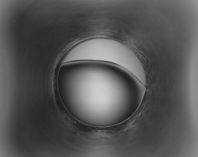 X0000089880244200706281056